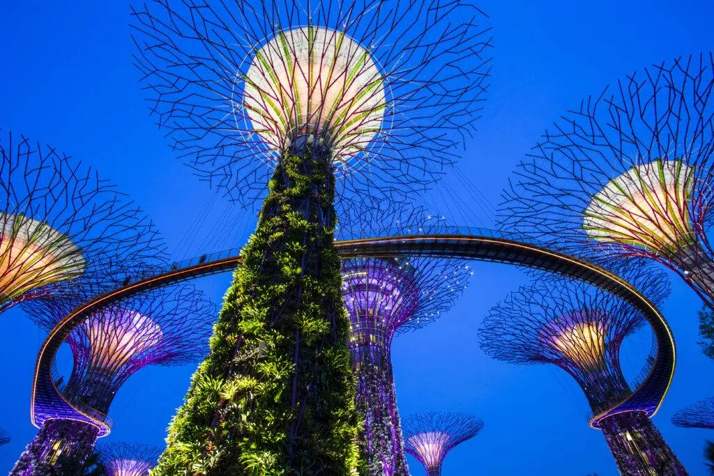 Event decoration and styling by Rosette Designs | Wedding Deco Singapore - Singapore Garden By The Bay On Twilight Sky